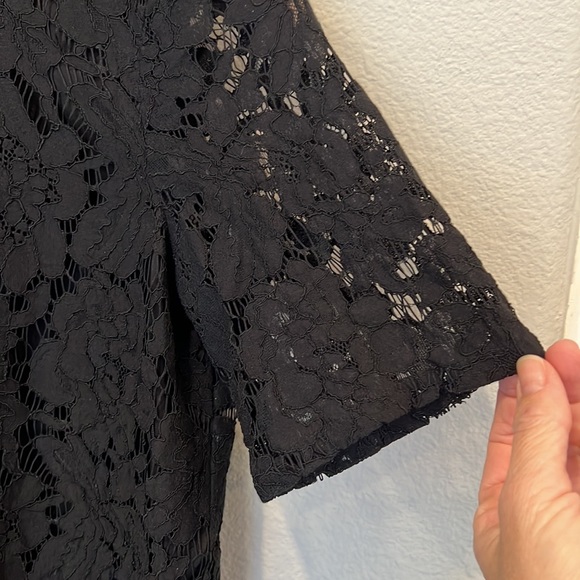 Madewell Lace Lined Short Sleeve Top - Picture 7 of 11